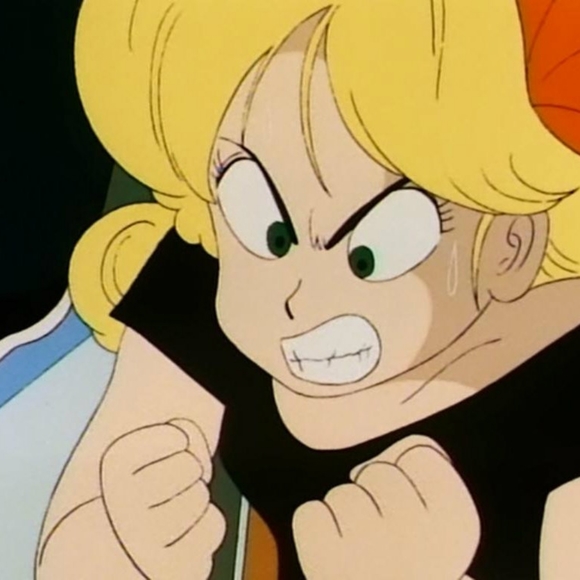 Meet your Posher, Sadie - Picture 1 of 1